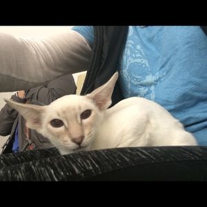 Meet your Posher, Wendy